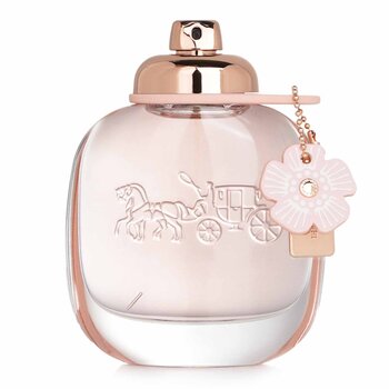 coach perfume coffret