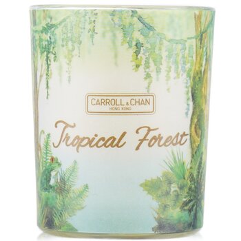 The Candle Company (Carroll & Chan) 100% Beeswax Votive Candle - Tropical Forest