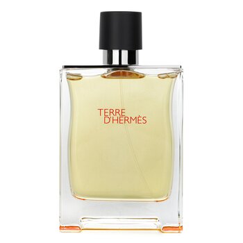 Hermes Terre DHermes Eau De Toilette Spray