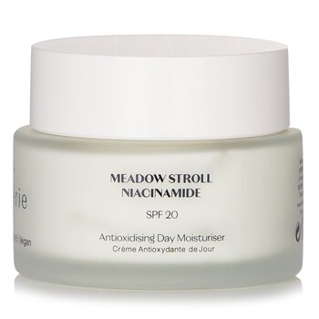 Antioxidising Day Moisturiser SPF 20