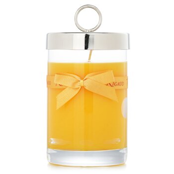 Rigaud Scented Candle - # Tournesol